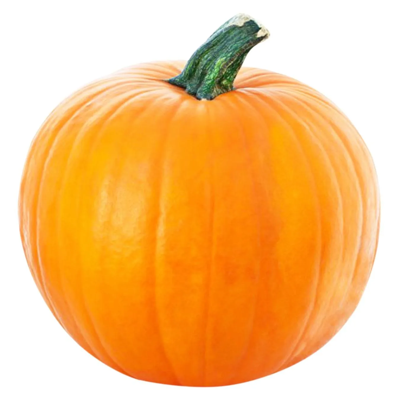 Гарбуз круглий - Фото 1