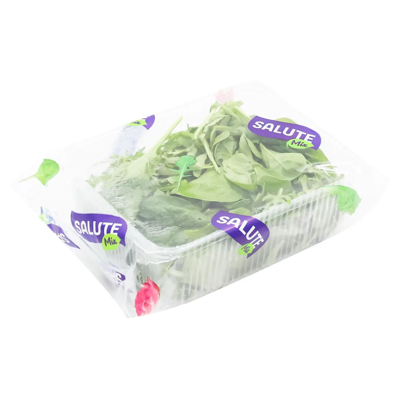 Суміш салатна Salute рукола зі шпинатом 75г - Фото 1