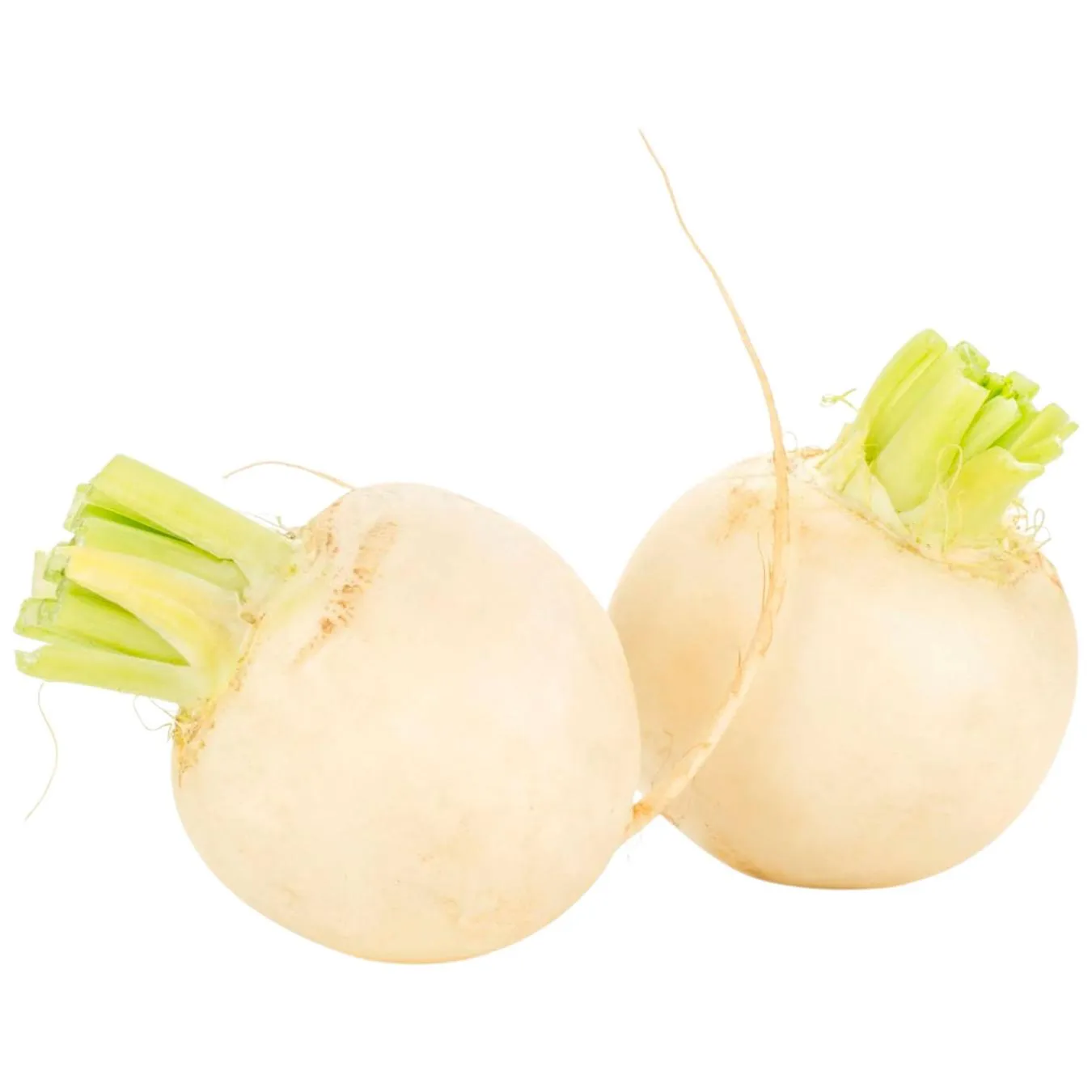 Редька біла - Фото 1