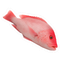 Іконка Риба