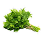Іконка Зелень